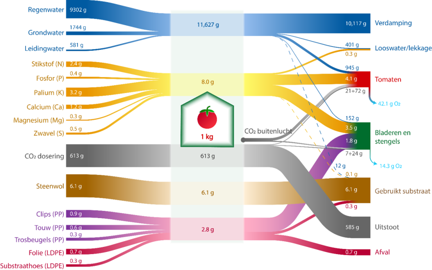 Materiaalstroomdiagram van water, meststoffen, CO2, substraat en plastic voor een tomatenteelt in Nederland. Let op; binnen 1 type materiaalstroom kan de grootte van verschillende stromen worden vergeleken. Zo is bijvoorbeeld te zien dat van de meststoffen, kalium het meest gebruikt wordt en magnesium het minst. Tussen verschillende materiaalstromen kan de grootte van stromen niet worden vergeleken. Er is voor deze visualisatiemethode gekozen omdat water verreweg de grootste stroom is, waardoor de andere materiaalstromen verwaarloosbaar klein zouden moeten worden afgebeeld. Bron: Van Tuyll, Boedijn et al. (2022)   Materiaalstroomdiagram van water, meststoffen, CO2, substraat en plastic voor een tomatenteelt in Nederland. Let op; binnen 1 type materiaalstroom kan de grootte van verschillende stromen worden vergeleken. Zo is bijvoorbeeld te zien dat van de meststoffen, kalium het meest gebruikt wordt en magnesium het minst. Tussen verschillende materiaalstromen kan de grootte van stromen niet worden vergeleken. Er is voor deze visualisatiemethode gekozen omdat water verreweg de grootste stroom is, waardoor de andere materiaalstromen verwaarloosbaar klein zouden moeten worden afgebeeld. Bron: Van Tuyll, Boedijn et al. (2022)