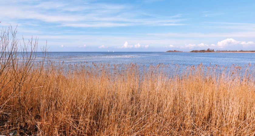 ijsselmeer_shutterstock_1663617262.jpg ijsselmeer_shutterstock_1663617262.jpg