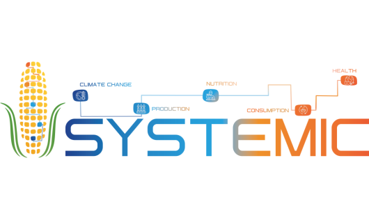 SYSTEMIC-logo_0.png