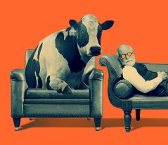 Wageningen W MensDier3.jpg Wageningen W MensDier3.jpg