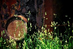 shutterstock_1723486387 resize.jpg shutterstock_1723486387 resize.jpg