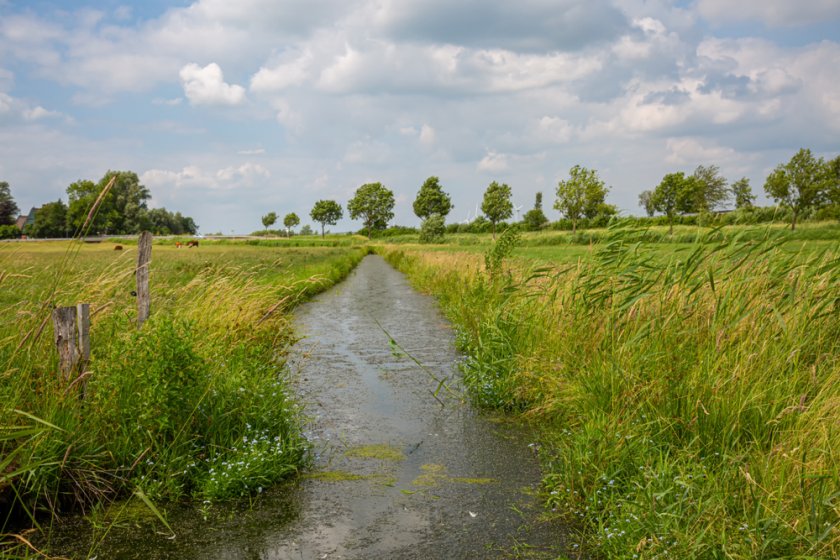 groenblauwe_dooradering_landschap_shutterstock_1541182412.jpg groenblauwe_dooradering_landschap_shutterstock_1541182412.jpg