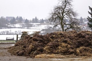 quality test  chemicals in manure & compost 
