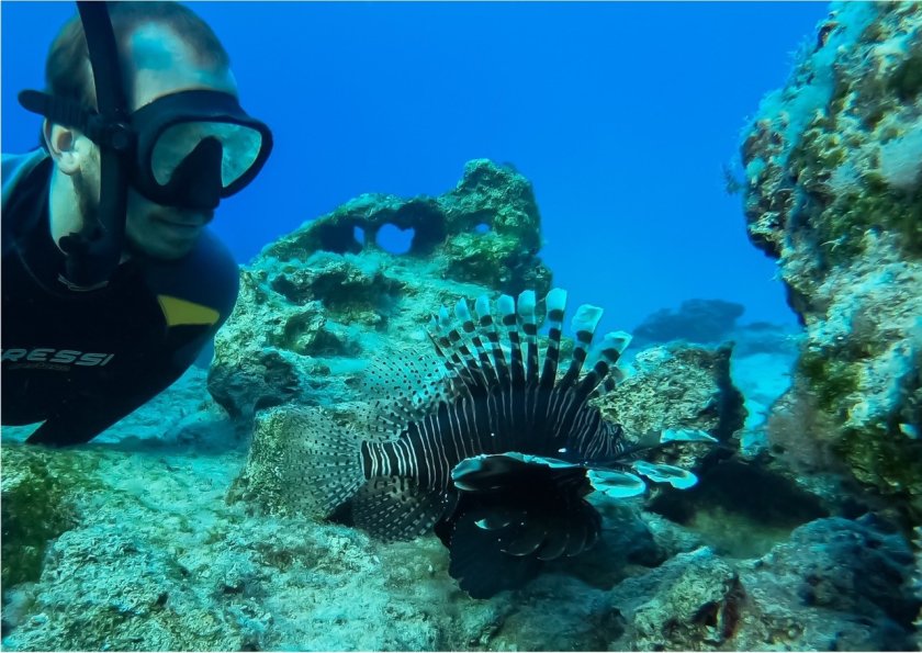 Davide Bottacini studies lionfish and fish diversity around Cyprus 