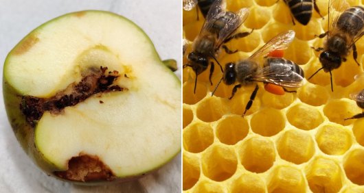 research RP10.jpg research RP10.jpg