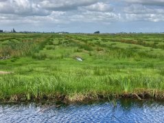 Het water- en bodemsysteem is leidend bij de ruimtelijke inrichting van Nederland. Foto: Laag Nederland 2050 Het water- en bodemsysteem is leidend bij de ruimtelijke inrichting van Nederland. Foto: Laag Nederland 2050