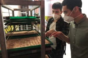 Luis conducting research.jpg Luis conducting research.jpg