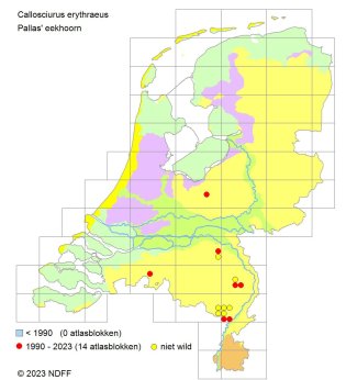 Verspreidingskaart Pallas' eekhoorn