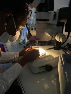 Loretta at work.jpg Loretta at work.jpg