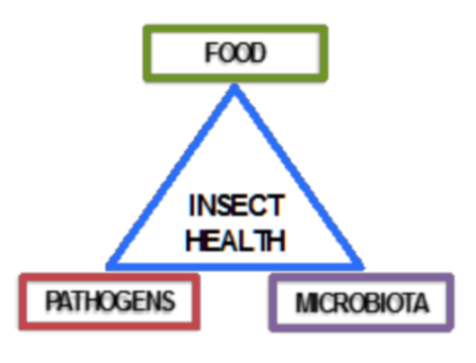 RP14 scheme.png RP14 scheme.png