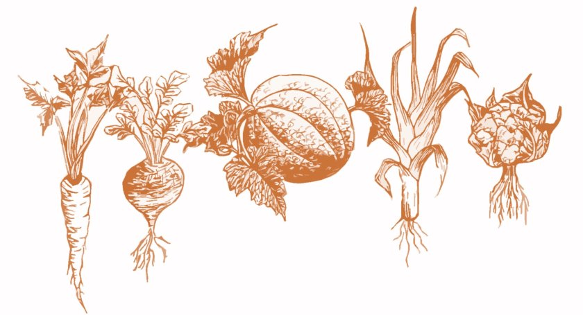 Most wanted rassen (CGN)