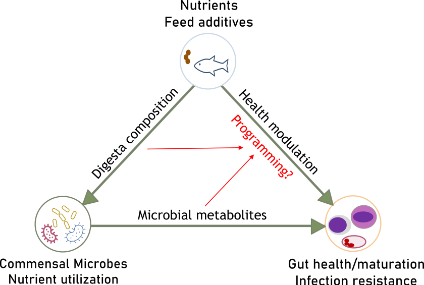 summary-image.png summary-image.png