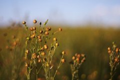 Web 72 DPI-shutterstock_439903_vlas_akker.jpg Web 72 DPI-shutterstock_439903_vlas_akker.jpg